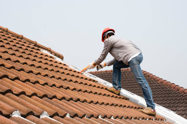 Best Hot Roofs  in Dresden, TN